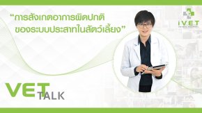 การกายภาพและอุปกรณ์เพื่อคุณภาพชีวิตสัตว์เลี้ยง(copy)